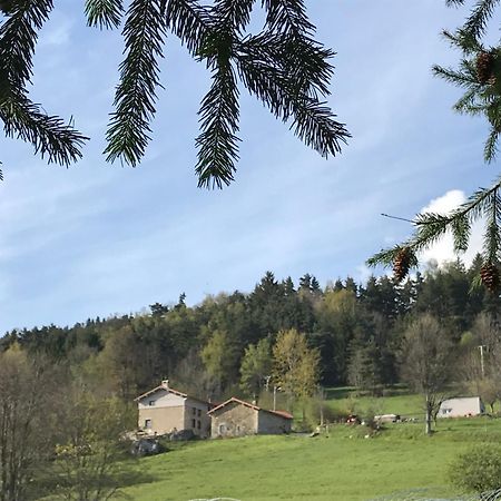 La Source D'En Haut Valcivieres Luaran gambar