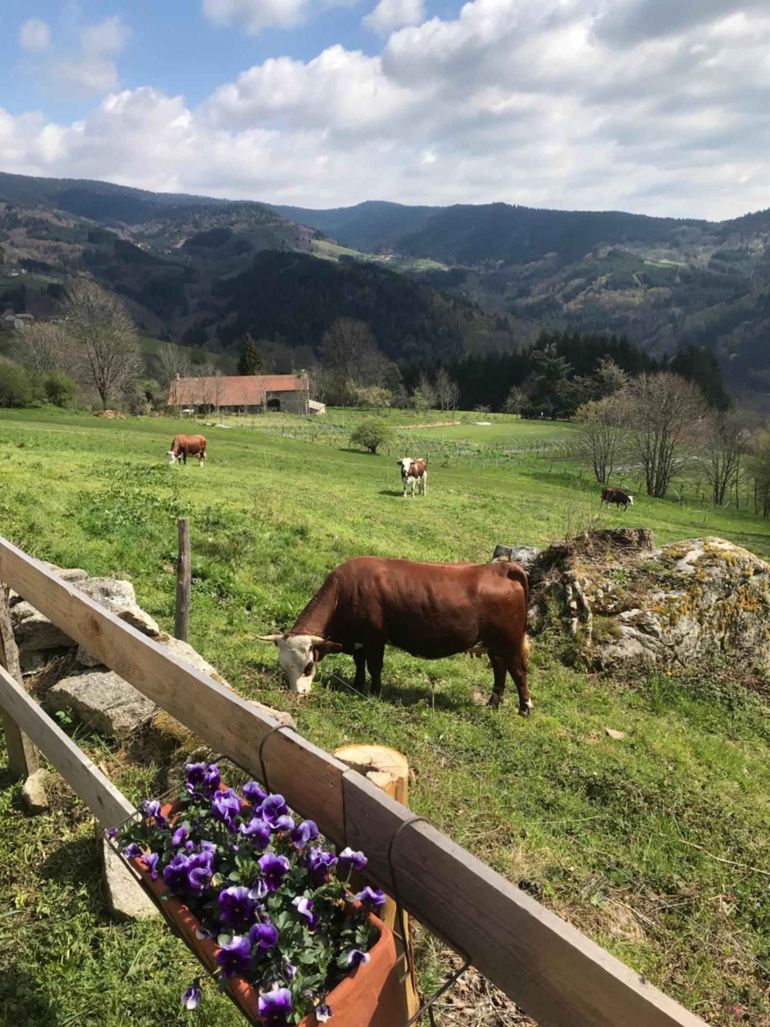 La Source D'En Haut Valcivieres Luaran gambar