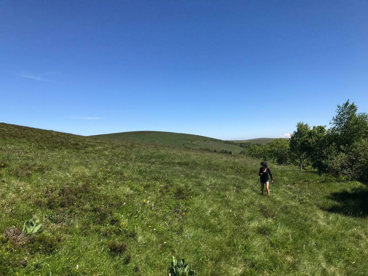 La Source D'En Haut Valcivieres Luaran gambar